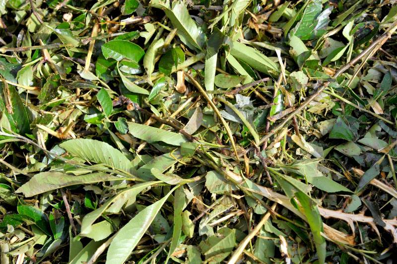 Nos tarifs de location de benne pour vos évacuations de déchets ou de gravats